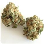 Шишки "White Widow"  (Белая вдова)  Гидропоника -  Бошка VHQ в Зиме