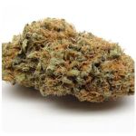 Шишки AK47 (Гидропоника, Бошка) VHQ в Зиме Шишки AK47 (Гидропоника, Бошка) VHQ в Зиме