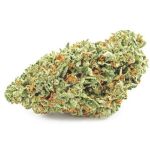 Шишки OG Kush (Гидропоника, бошки) VHQ в Зиме Шишки OG Kush (Гидропоника, бошки) VHQ в Зиме